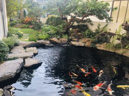 Thanhha_Sungarden